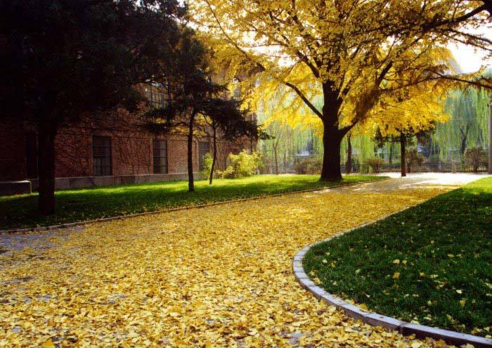 2021年云南自学考试小技巧!