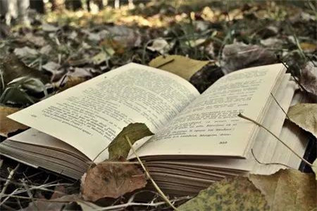 云南自考专科和全日制专科有什么区别?