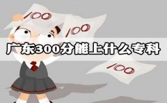 云南300分能上什么专科?