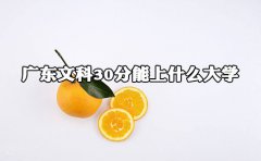 云南文科300分能上什么大学?