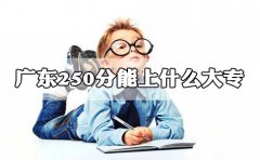 云南250分能上什么大专?