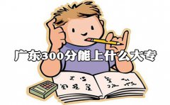 云南300分能上什么大专?